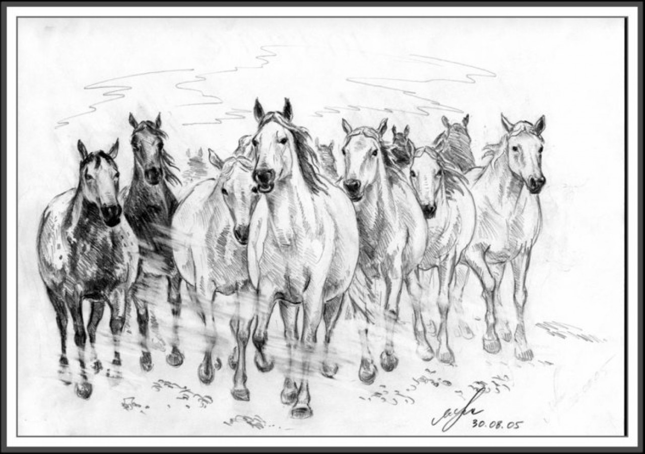 Нарисовать стадо лошадей