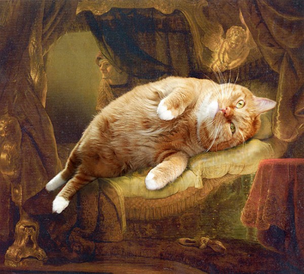 Cat-Zarathustra-picture-23.jpg