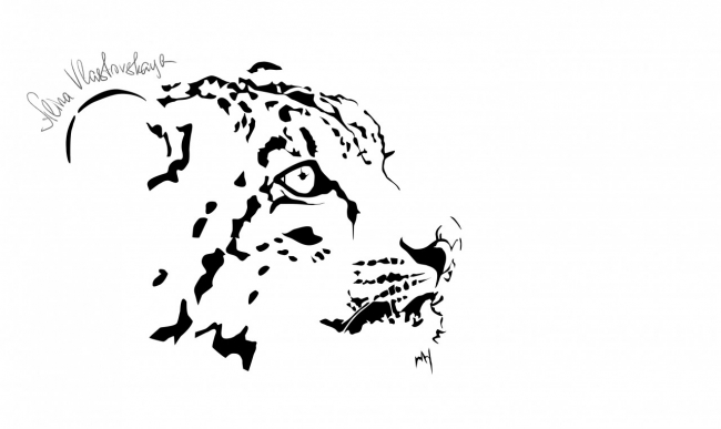 snow leopard