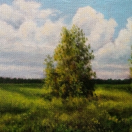 Середина лета / The Middle of the Summer 