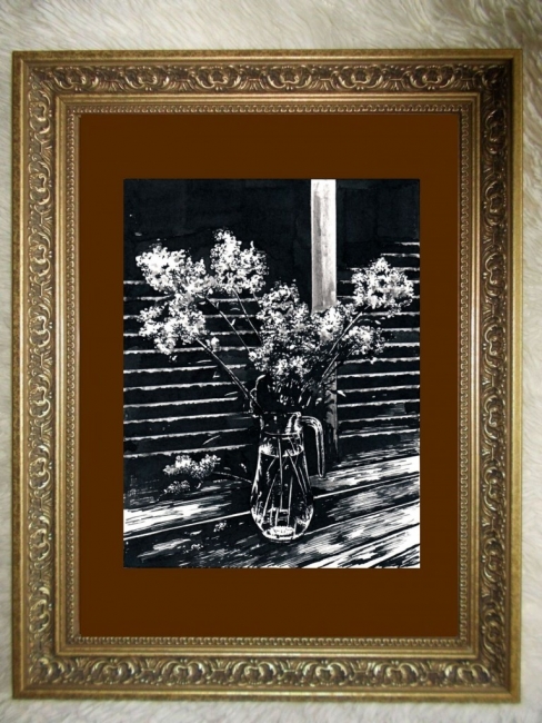 Флоксы / The Phlox