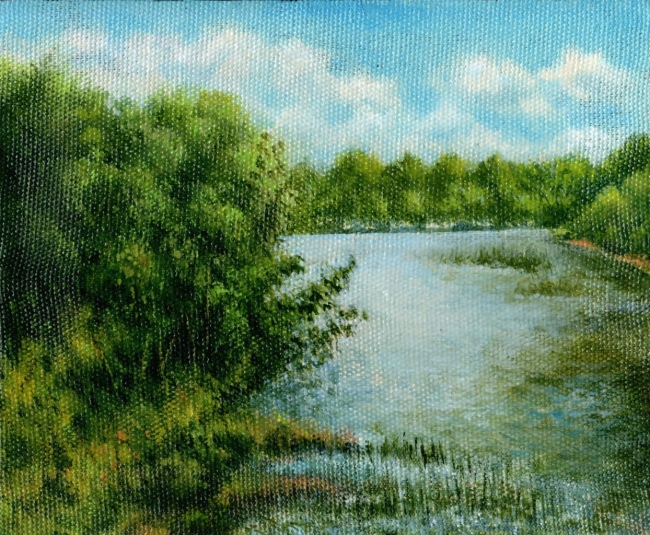 Жаркий день на Ине / A Hot Day on the Inia River 