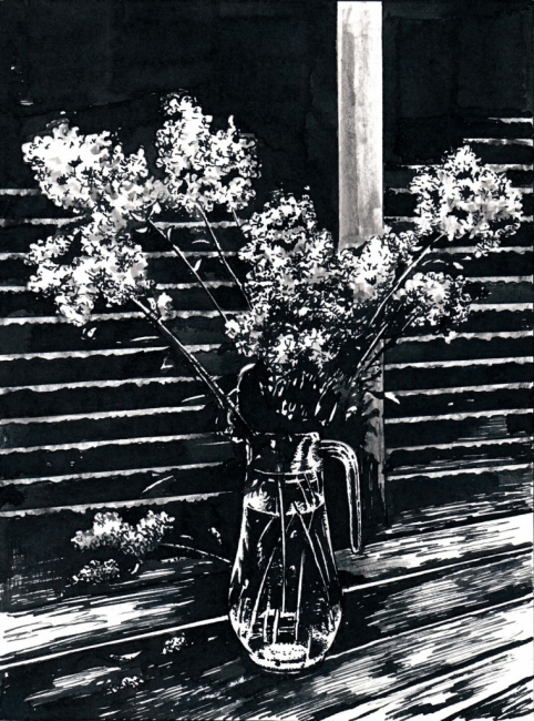 Флоксы / The Phlox