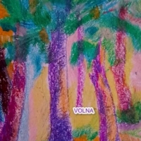 дубрава на заре