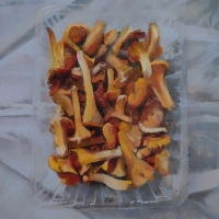Грибы лисички