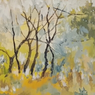 Туман и солнце