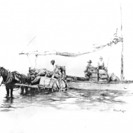 Мандарины