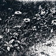 Летний карнавал / The Summer Carnival