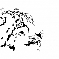 snow leopard