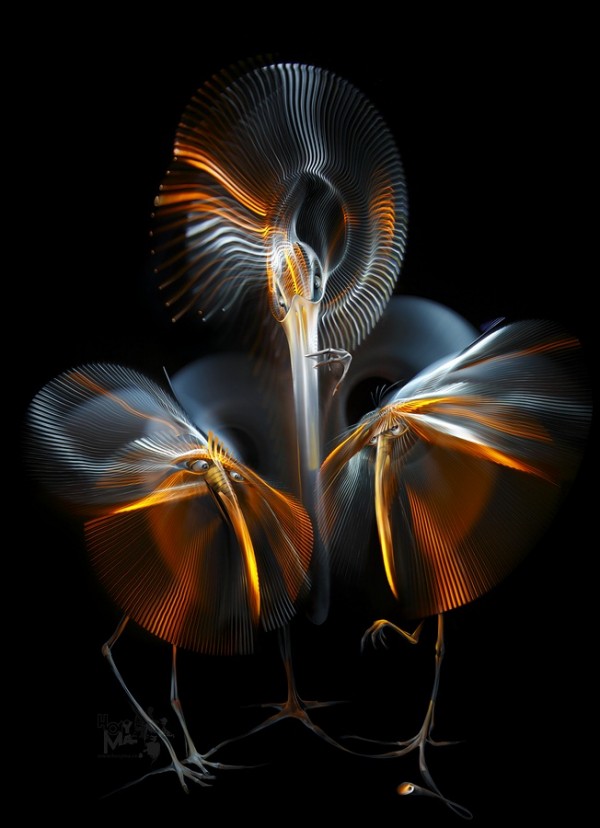 light-graphi-hory-ma-37.jpg